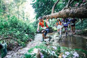 BIB: 
                            <button type="button" onclick="openModal(25446622)" class="btn btn-primary btn-sm float-right btn-popup" data-toggle="modal" data-target=".modal-high-quality">
                        <i class="fas fa-shopping-cart"></i> Add to Cart
                    </button>
                                            <button type="button" onclick="isThisMe(25446622, true)" class="btn btn-success btn-sm float-right btn-popup btn-isme hidden" data-toggle="tooltip" data-placement="bottom" title="นี่คือรูปของคุณใช่ไหม คลิกที่นี่เพื่อเอาเข้าอัลบั้ม">
                        <i class="fas fa-plus"></i> Add to album
                    </button>
                    <button type="button" onclick="isThisMe(25446622, false)" class="btn btn-warning btn-sm float-right btn-popup btn-isnotme hidden">
                        <i class="fas fa-ban"></i> Remove from album
                    </button>